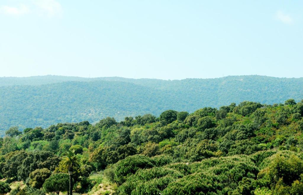 Cap Nègre Le Lavandou