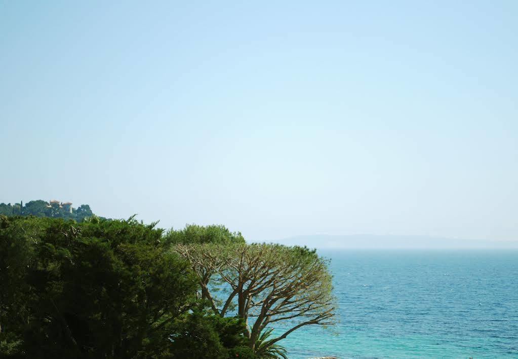 Cap Nègre Le Lavandou